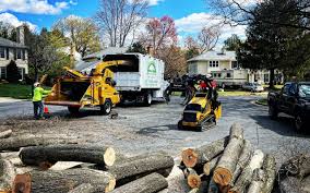 Best Lawn Drainage Solutions  in East Ithaca, NY