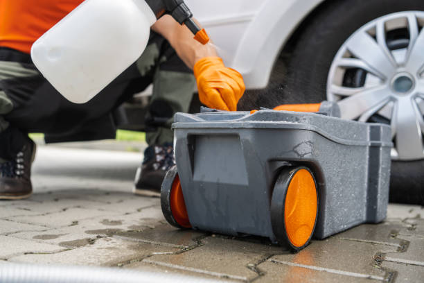 Best Leaf Removal  in East Ithaca, NY